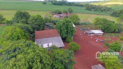 Chácara, 2 quartos, 3 hectares - Foto 3