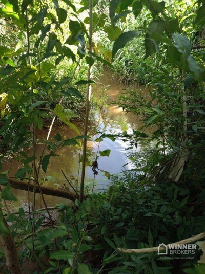 Chácara, 2 quartos, 3 hectares - Foto 5