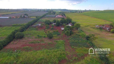 Chácara, 2 quartos, 3 hectares - Foto 1