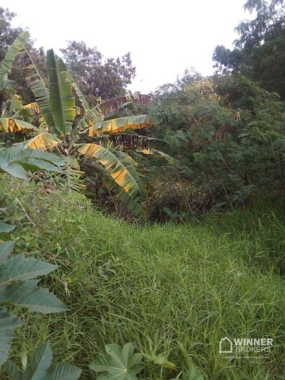 Chácara, 2 quartos, 1602 m² - Foto 4