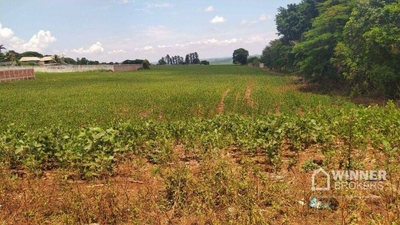 Terreno, 10 hectares - Foto 1