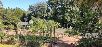 Chácara, 6 quartos, 5 hectares - Foto 2