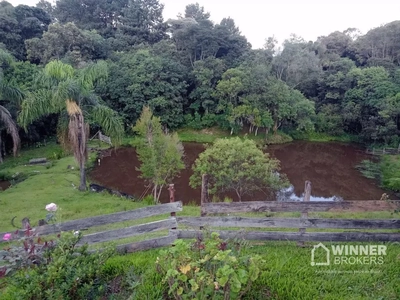 Chácara, 4 quartos, 1 hectares - Foto 1