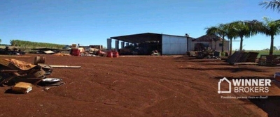 Chácara, 1 quarto, 10000 m² - Foto 3