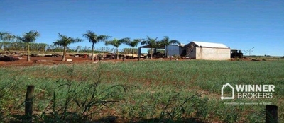 Chácara, 1 quarto, 10000 m² - Foto 5