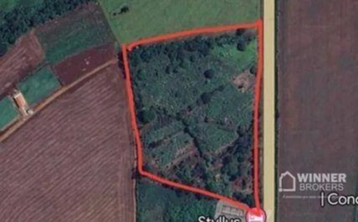 Sítio, 4 hectares - Foto 1