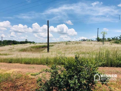 Chácara, 4250 m² - Foto 3