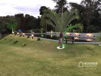 Chácara, 3 quartos, 4210 m² - Foto 4