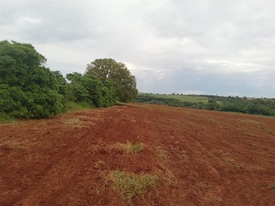 Sítio, 1 quarto, 20 hectares - Foto 4