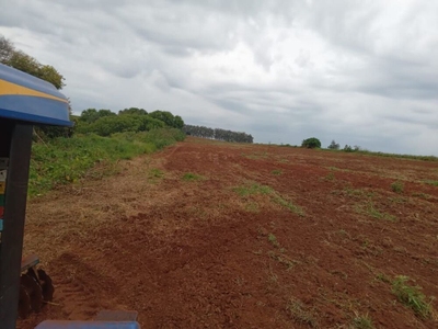 Sítio, 1 quarto, 20 hectares - Foto 3