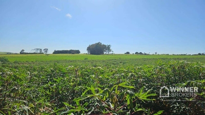 Sítio, 1 quarto, 20 hectares - Foto 1