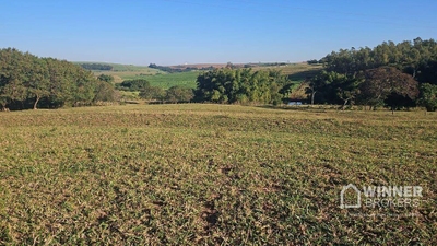 Sítio, 1 quarto, 24 hectares - Foto 1