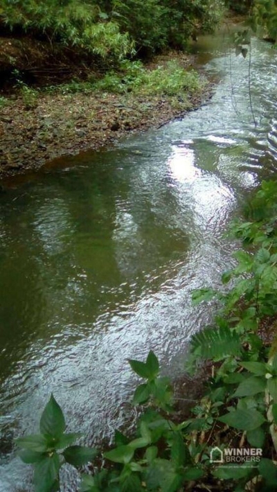 Chácara, 3 quartos, 5 hectares - Foto 2