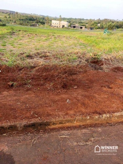 Terreno, 300 m² - Foto 4