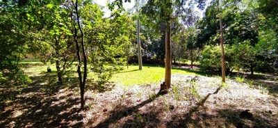 Chácara, 2 quartos, 2 hectares - Foto 4