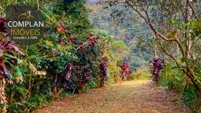 Terreno, 240 hectares - Foto 5