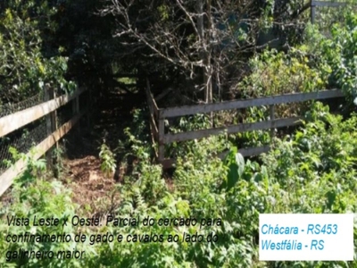 Chácara, 2 quartos, 12 m² - Foto 2