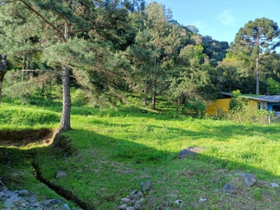 Terreno, 422 m² - Foto 3