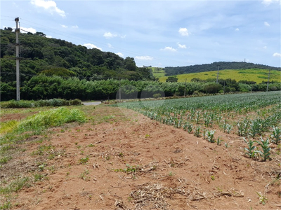 Terreno, 14 hectares - Foto 4