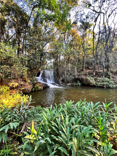 Sítio, 4 quartos, 4200 m² - Foto 1