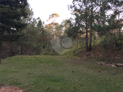 Sítio, 3 hectares - Foto 3