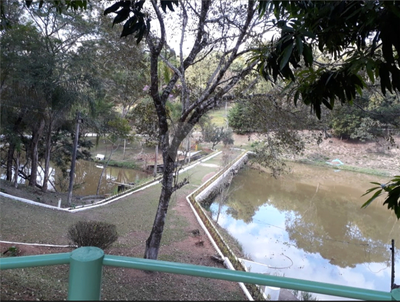 Sítio, 3 hectares - Foto 2