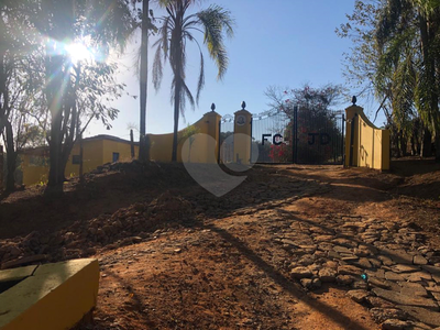 Fazenda-Sítio-Chácara, 110 hectares - Foto 2