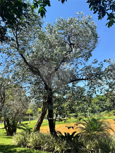 Terreno, 720 m² - Foto 3