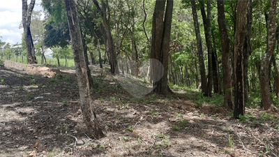 Terreno, 3150 m² - Foto 5