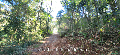 Sítio, 3 quartos, 6 hectares - Foto 3