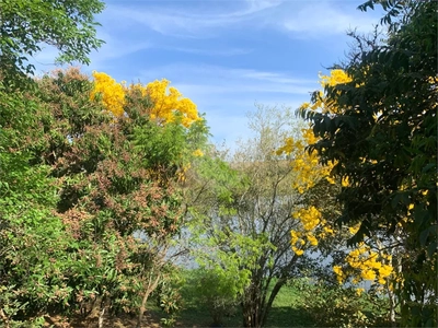 Terreno, 1200 m² - Foto 2