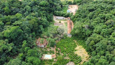 Terreno, 9650 m² - Foto 5