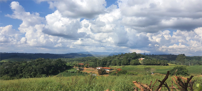 Terreno, 2 hectares - Foto 5