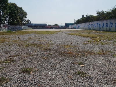 Terreno, 5000 m² - Foto 5