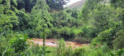 Sítio, 6 hectares - Foto 2