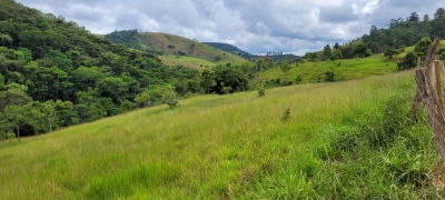 Sítio, 6 hectares - Foto 4