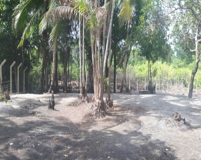 Terreno, 2000 m² - Foto 2