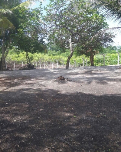 Terreno, 2000 m² - Foto 3