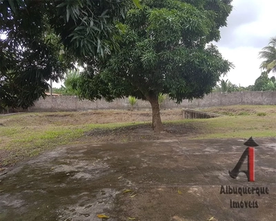 Sítio, 4 quartos, 1818 m² - Foto 3