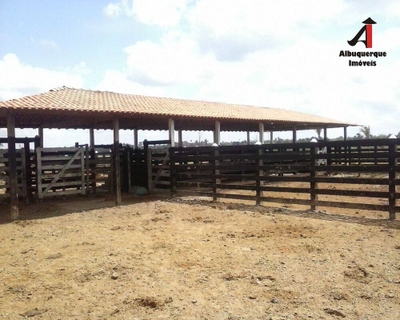 Fazenda-Sítio-Chácara, 5260 m² - Foto 1