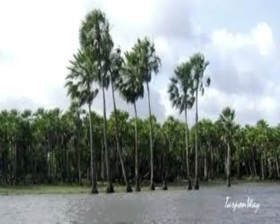 Fazenda, 4330 m² - Foto 3