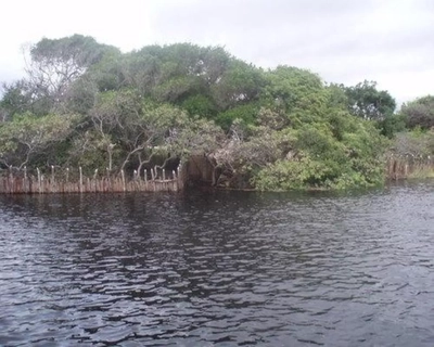 Fazenda, 4330 m² - Foto 1