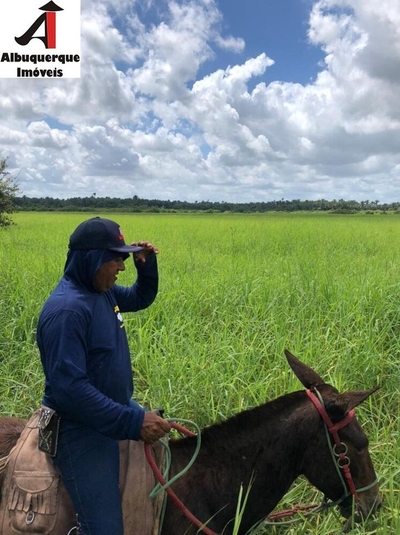 Fazenda-Sítio-Chácara, 2376 m² - Foto 2