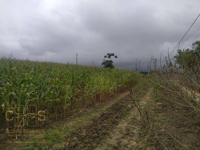 Sítio, 3 quartos, 3 hectares - Foto 3