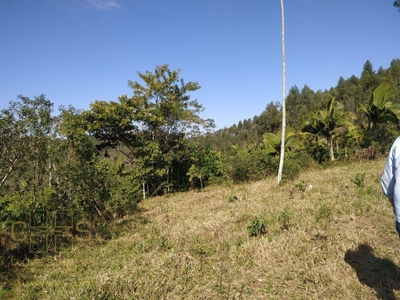 Terreno, 6515 m² - Foto 4