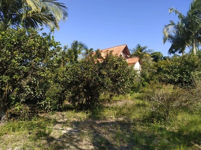 Sítio, 3 quartos, 10 hectares - Foto 4