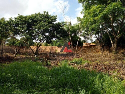 Terreno, 1200 m² - Foto 1