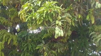 Apartamento, 2 quartos, 53 m² - Foto 3