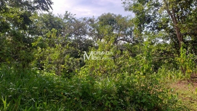 Terreno, 4 hectares - Foto 2