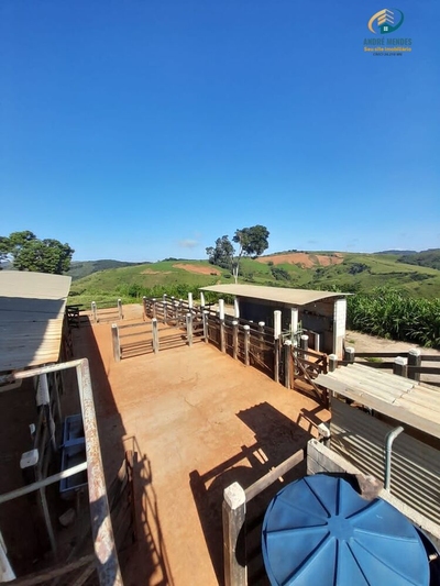 Fazenda-Sítio-Chácara, 140 hectares - Foto 1